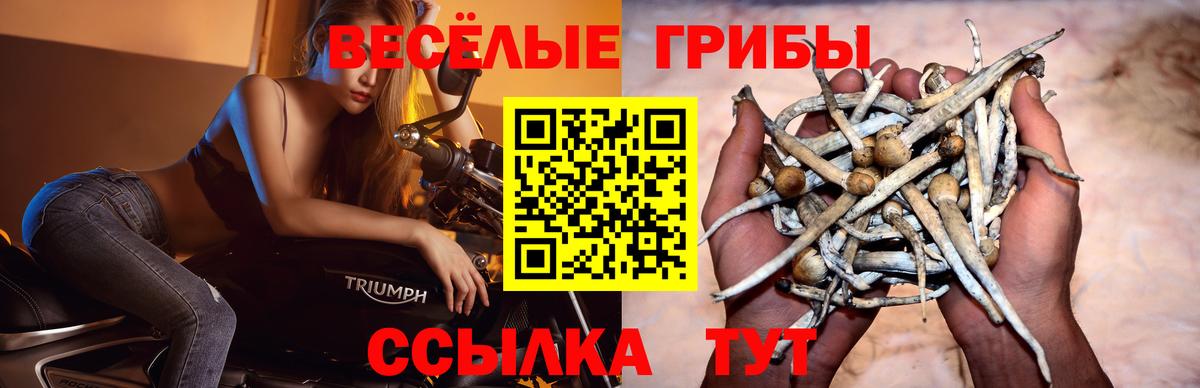 Янаул  Галлюциногенные грибы Psilocybe  где можно купить   Вход с VPN 